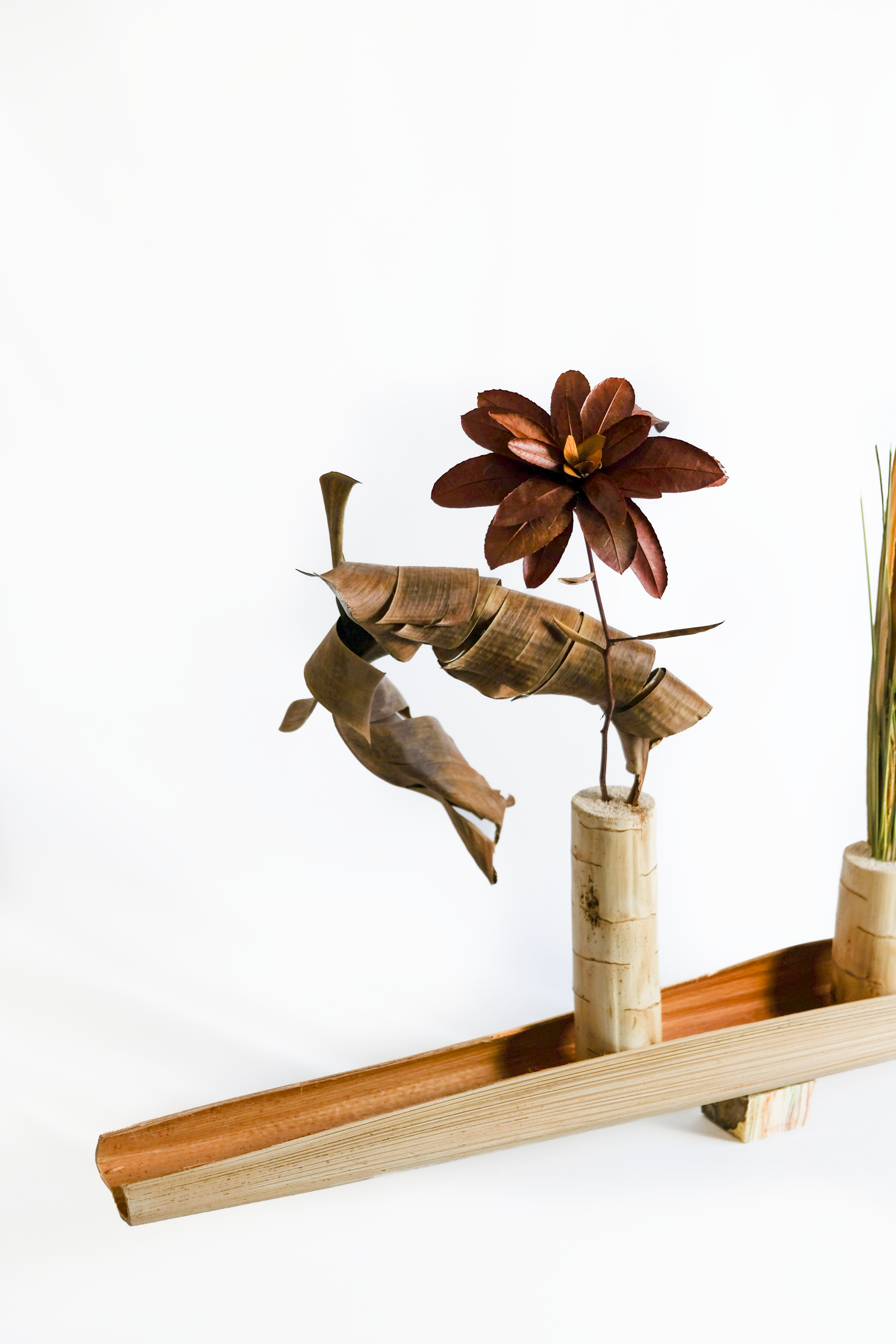 Botanical arrangement